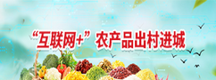 农产品出村进城